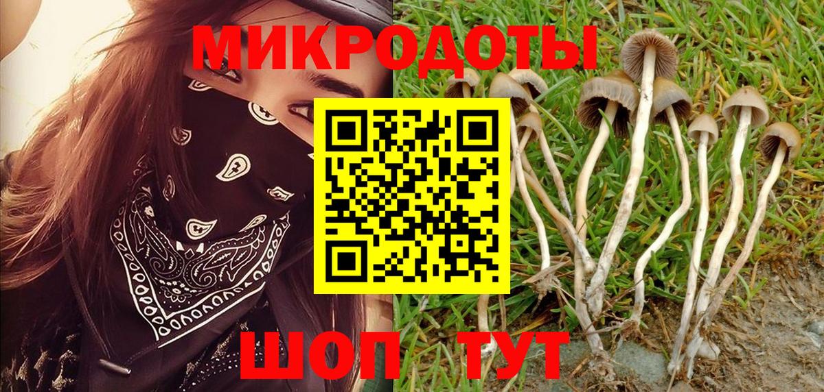 Галлюциногенные грибы прущие грибы Хасавюрт