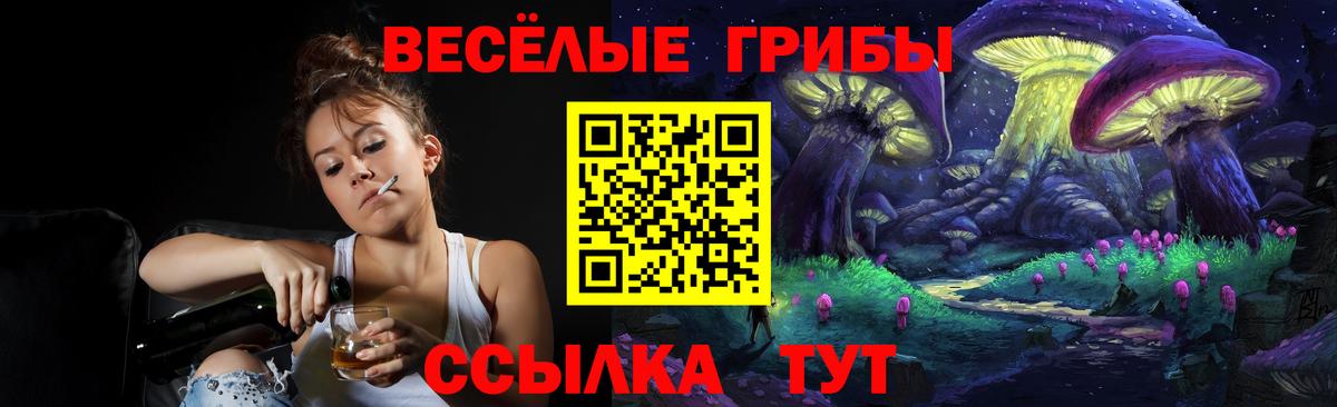 Хасавюрт  Галлюциногенные грибы Psilocybine cubensis  Вход с VPN  Псилоцибиновые грибы Magic Shrooms 